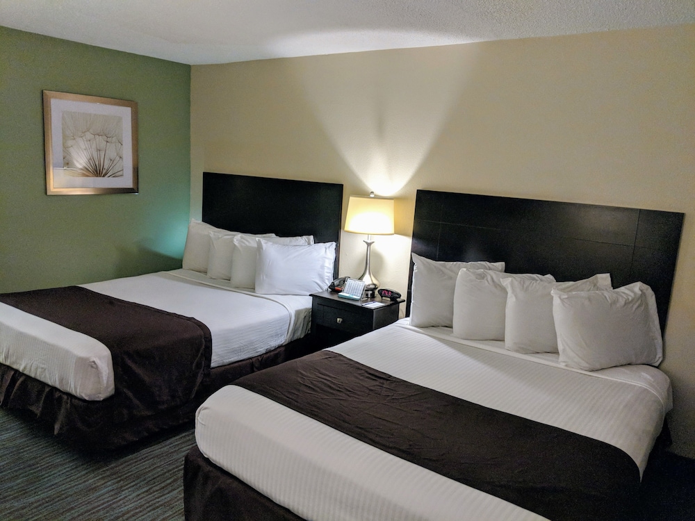 Hotel Francis - photo 5