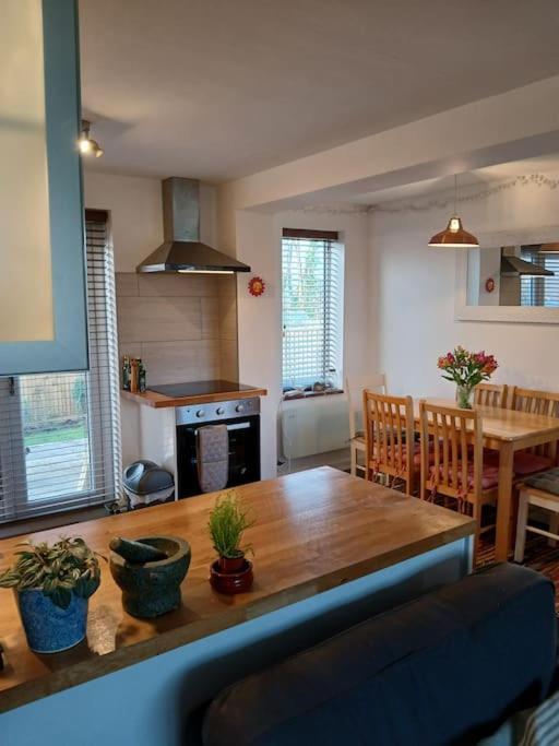 Down by the Riverside in Blandford Forum, United Kingdom