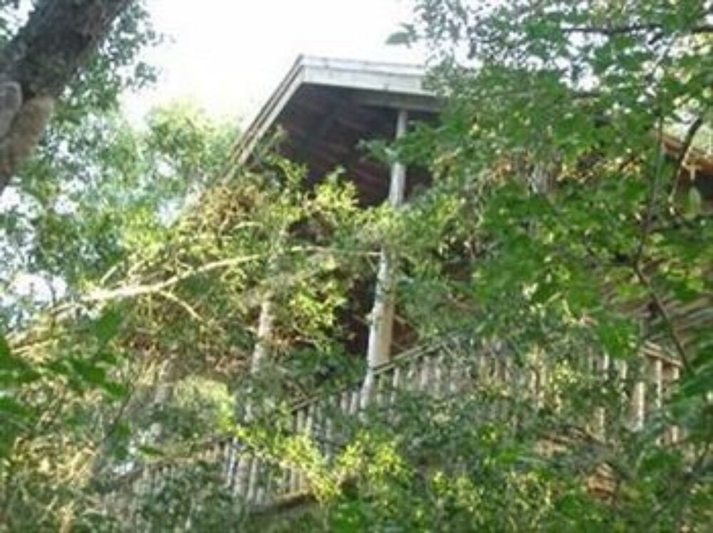 Scenic Hill Retreat - photo 133