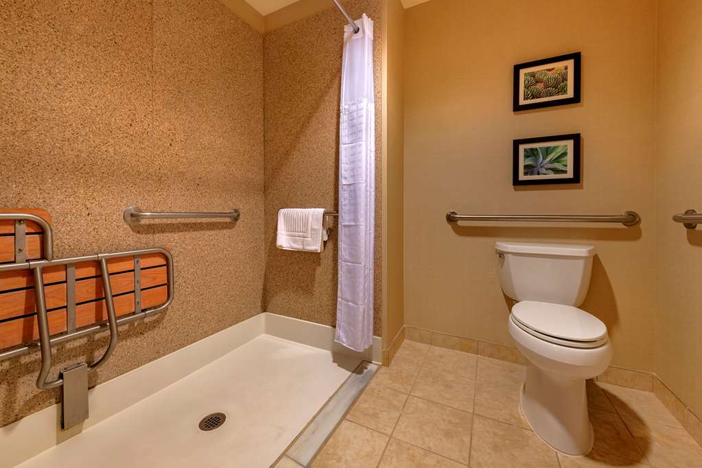 Comfort Suites Goodyear West Phoenix - photo 51