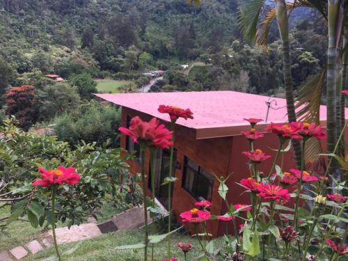 Navarro mountain — Cartago — photo 4