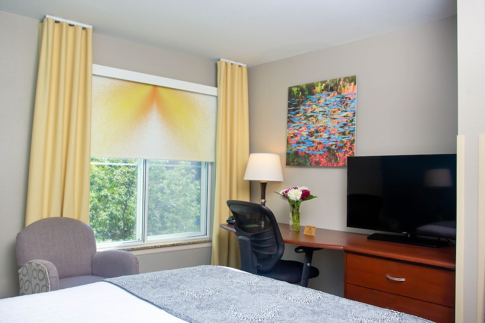 The Belltown Inn - photo 42