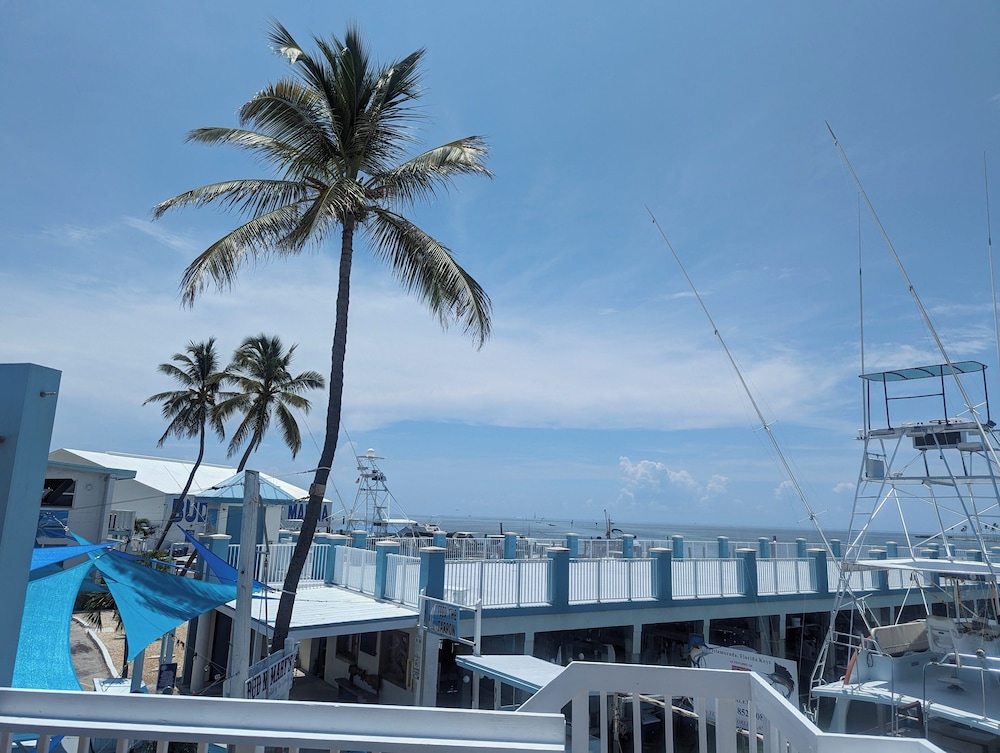 Bud N' Mary's Fishing Marina - photo 112