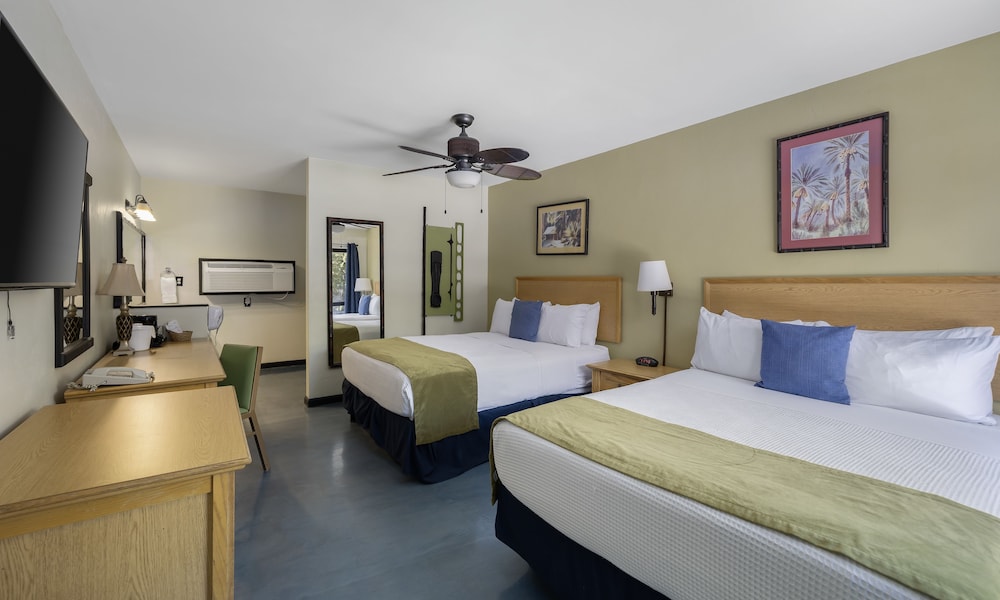 Caliente Tropics Hotel - photo 19