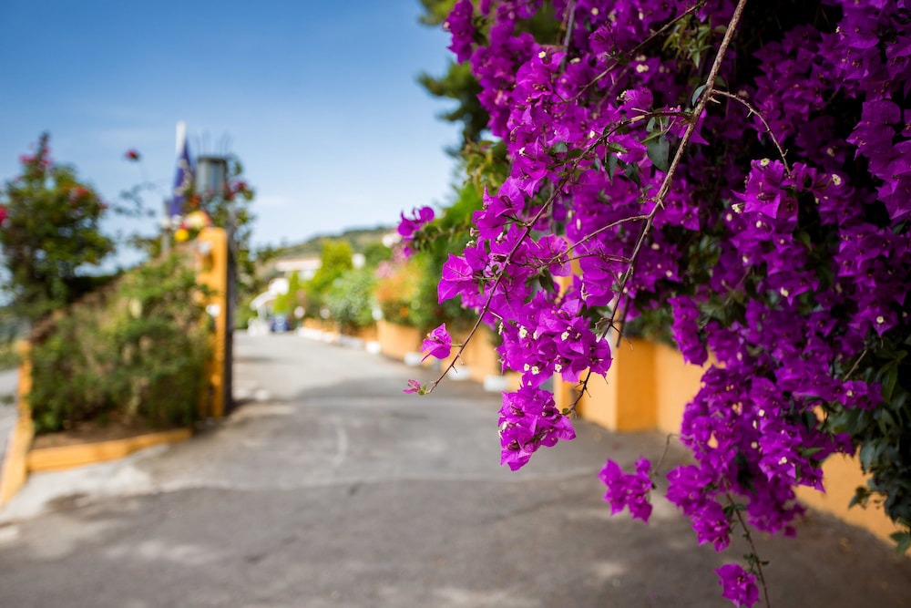 Hotel Santa Lucia - carbon neutral hotel in Parghelia