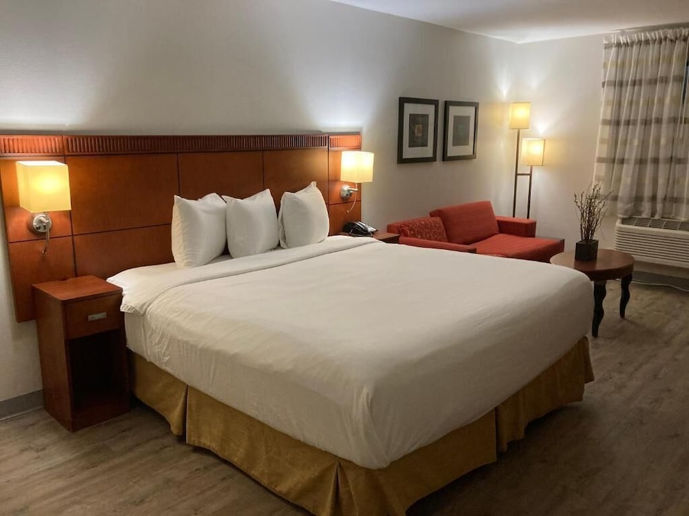 The Hotel Orange - photo 10