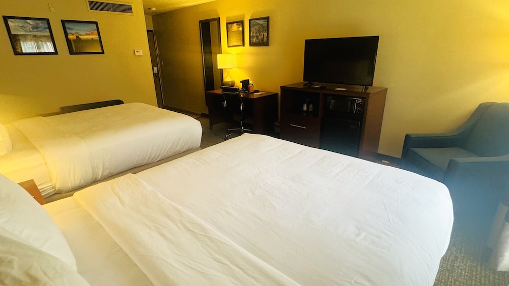 Comfort Inn Salt Lake City Downtown - photo 19