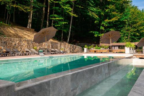 Oasis Karpat in Unknown City, Ukraine