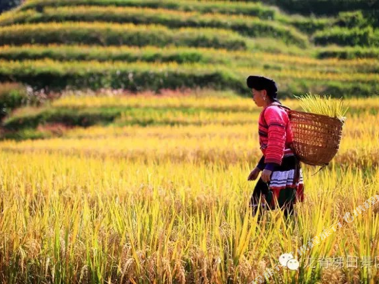 Yiyunting Inn in Longsheng, People's Republic of China