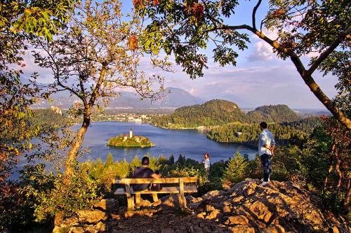 Apartments Apple Garden 4P — 4-Star Luxury Hotel in Bled, Slovenia