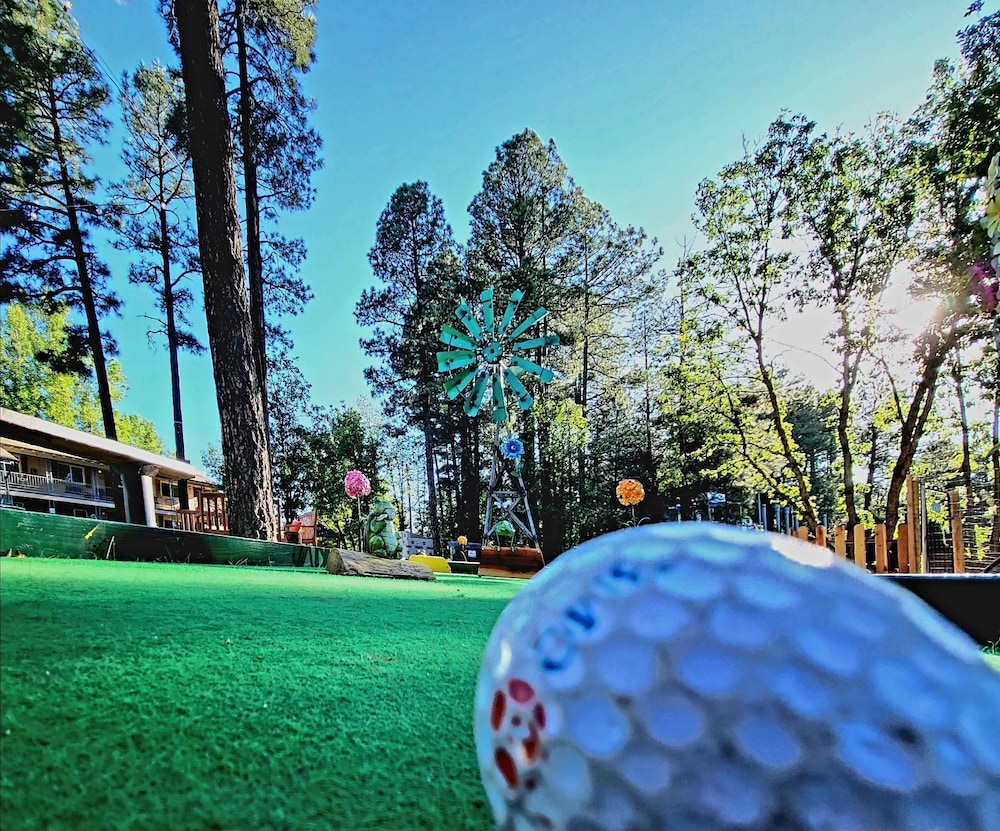 The Nook Pinetop - photo 32