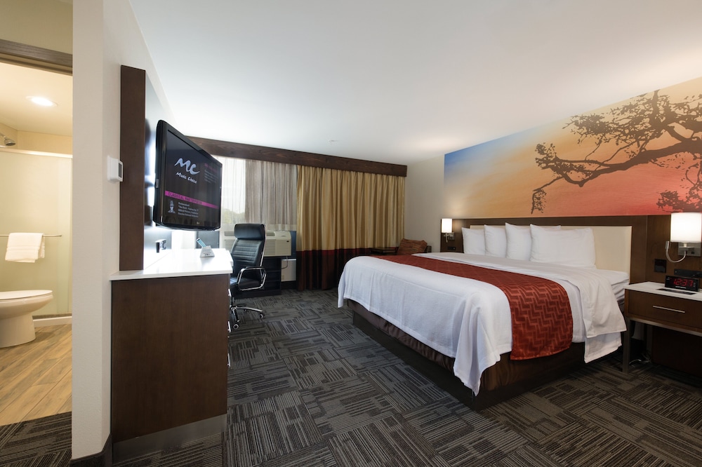 Holiday Inn Brookfield Milwaukee by IHG - photo 10