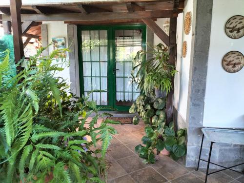 El Llanete — Vega De San Mateo — photo 4