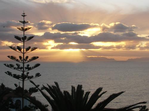 Apartment Palma Madeira wandern und tauchen — 4-Star Luxury Hotel in Canico, Portugal