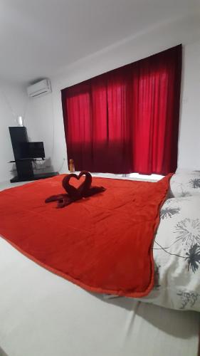 Apartmani Vesna in Novi Sad, Serbia