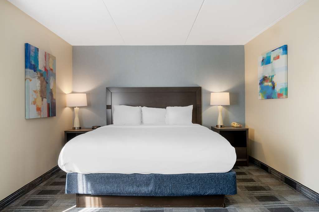 Best Western Plus Alexandria Fort Belvoir - photo 11