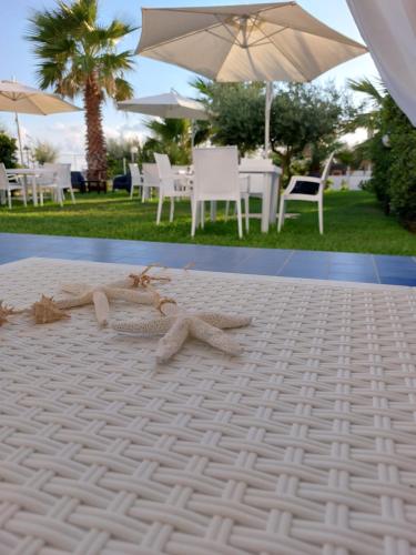 B&B Il Gabbiano — 4-Star Luxury Hotel in Cittadella Del Capo, Italy