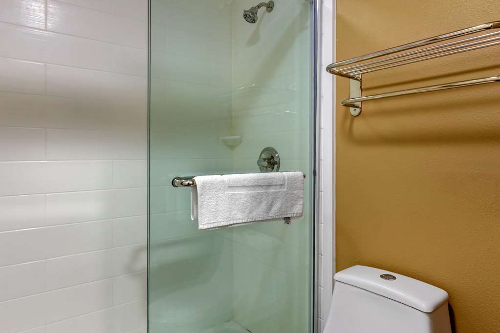 Quality Inn & Suites Pawleys Island - photo 19