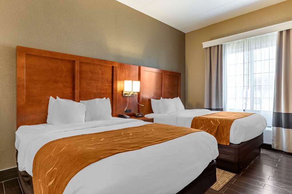 Comfort Suites Grand Rapids South - photo 28