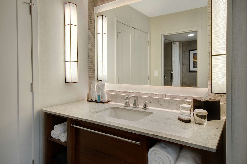 Embassy Suites by Hilton Detroit Metro Airport - photo 21