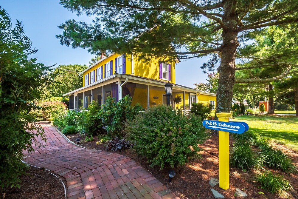 Homestead Bed & Breakfast at Rehoboth - featured photo