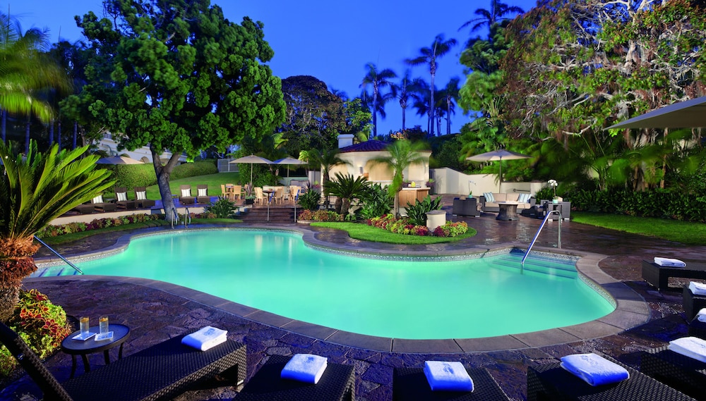 The Ritz Carlton Laguna Niguel - photo 83