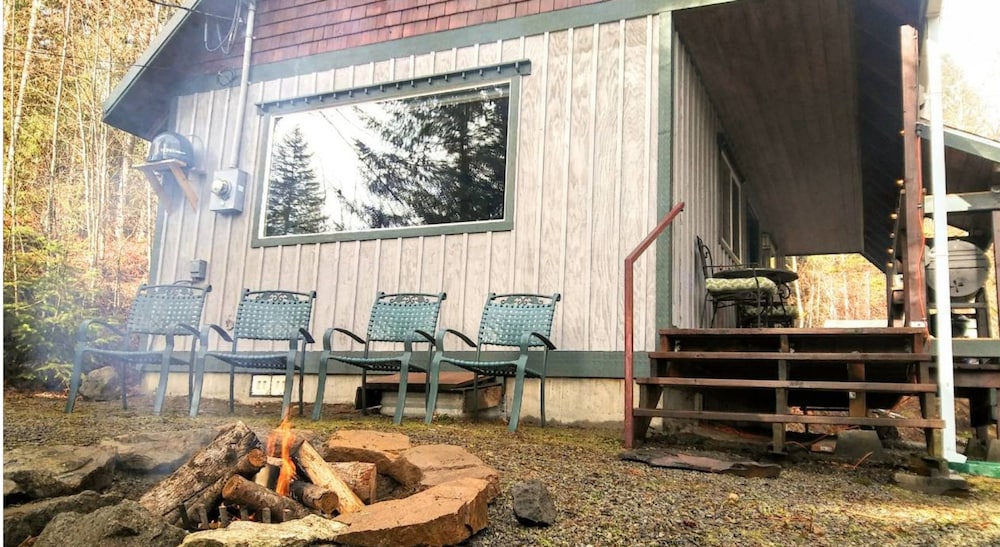 Packwood Family Ski and Vacation Getaway - photo 34