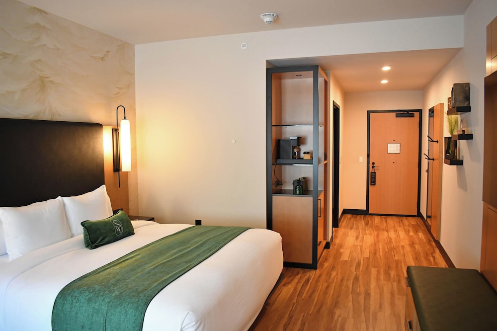 The Swiftwater - photo 33