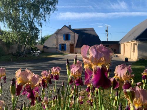 Les Logis du Breuil - last minute hotel in Paris