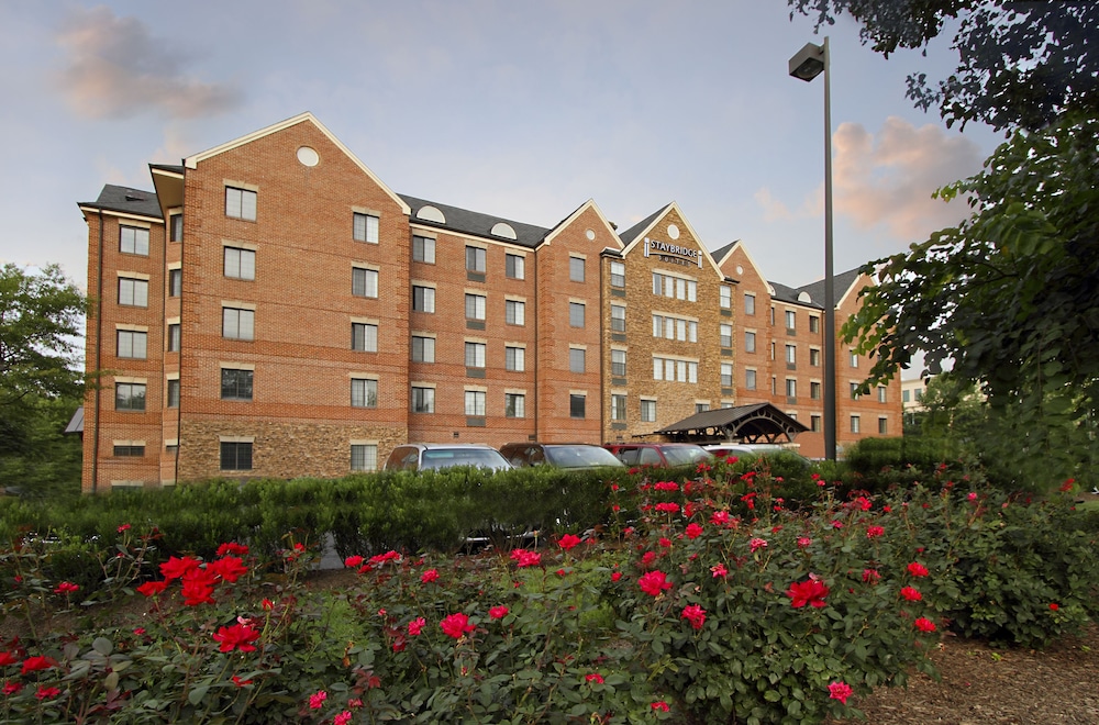Staybridge Suites Tysons McLean an IHG Hotel - featured photo