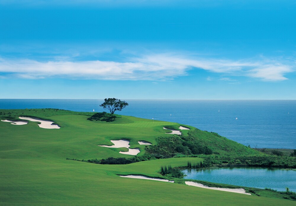 The Resort at Pelican Hill - photo 64