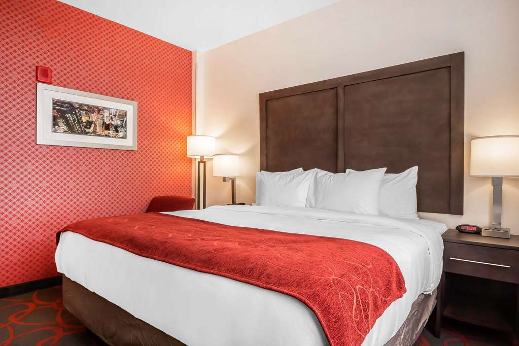 Comfort Inn & Suites near Stadium - photo 15