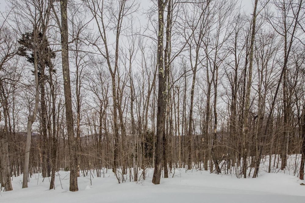 Woods Village 34 - photo 14