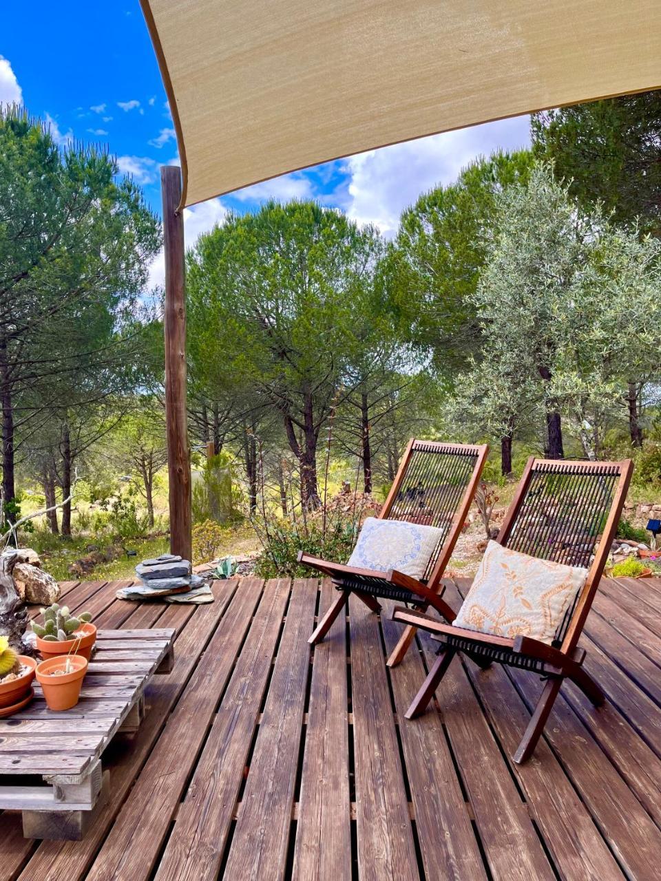 Beautiful Country Home Immersed in Pine Nut Farm — 4-Star Luxury Hotel in Odemira, Portugal