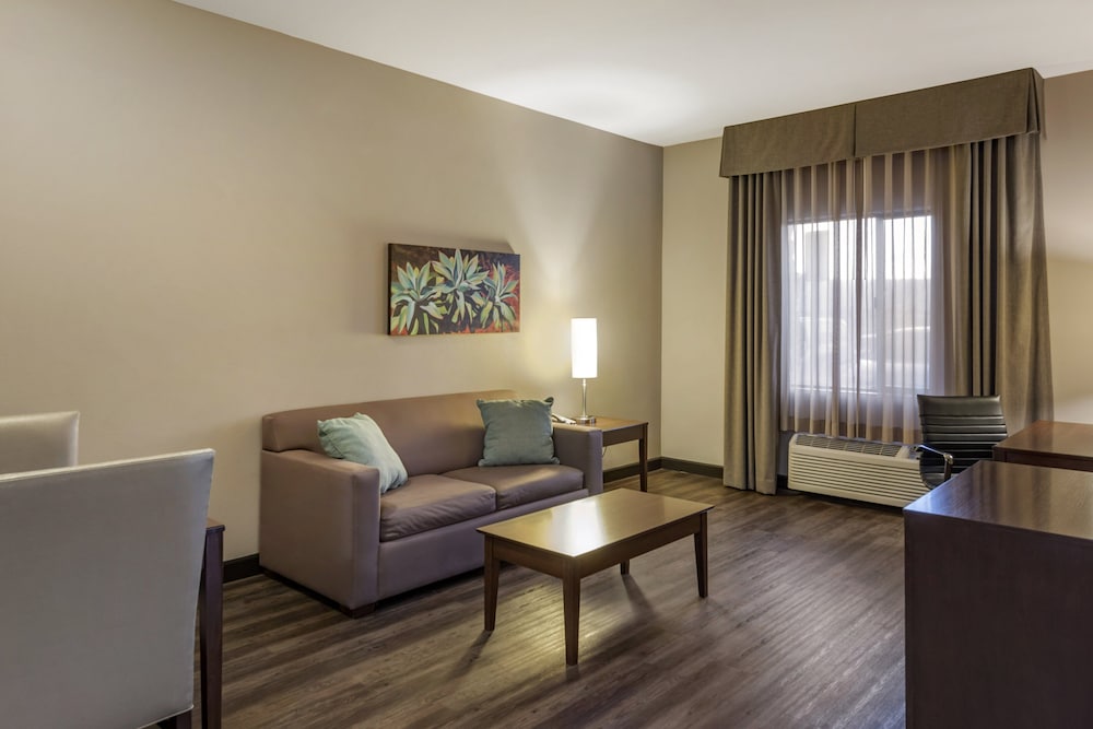 Holiday Inn Express & Suites Indio Coachella Valley by IHG - photo 32