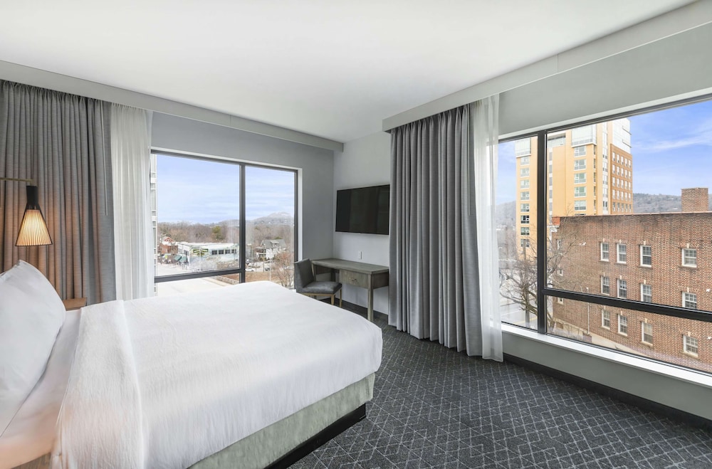 Embassy Suites By Hilton Asheville Downtown - photo 15