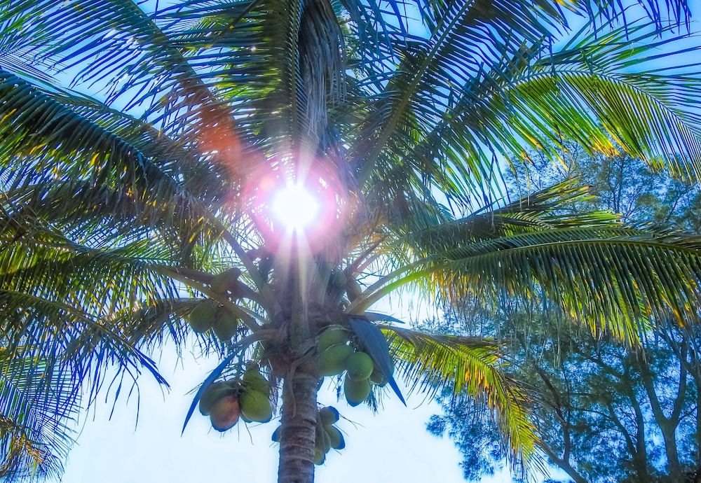 Casey Key Resorts Beachfront - photo 45