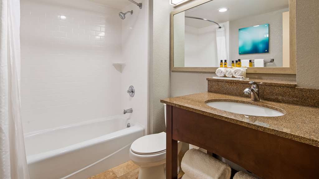 Best Western Plus Indianapolis NW Hotel - photo 15