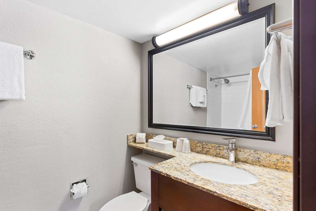Best Western Naperville Inn - photo 29