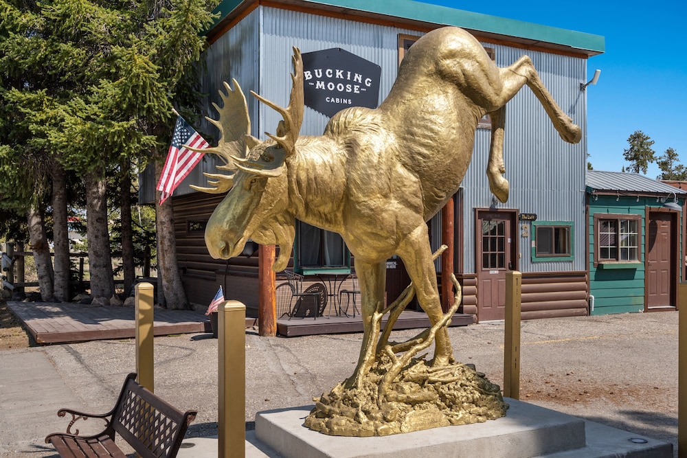 The Bucking Moose in West Yellowstone, United States