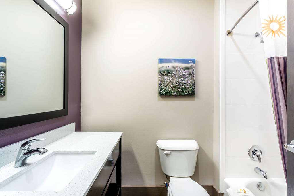 Quality Inn & Suites Colorado City TX - photo 30