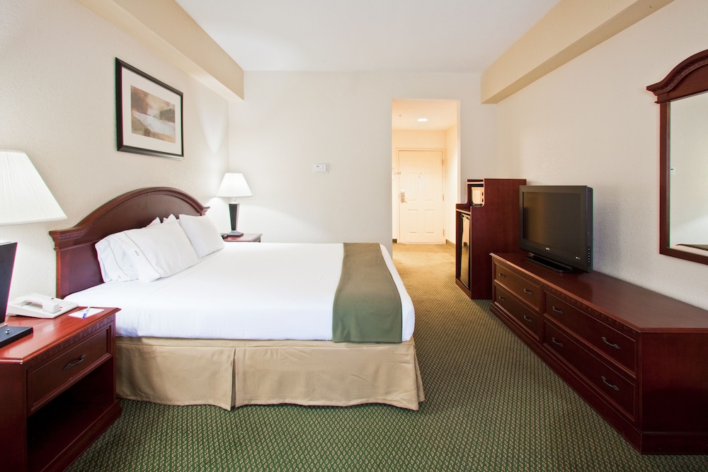 Holiday Inn Express & Suites West Palm Beach Metrocentre by IHG - photo 20
