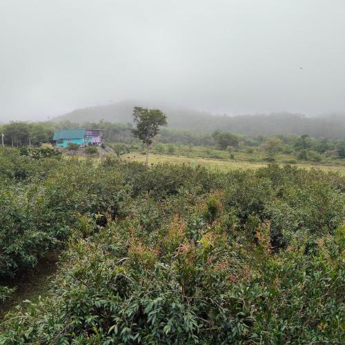 Chomview Hut - carbon neutral hotel in Unknown City