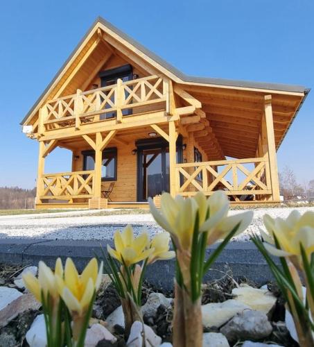 Domek Polne Kwiaty in Stronie Slaskie, Poland