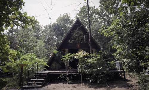LA SELVA Resort Pench National Park in Unknown City, India