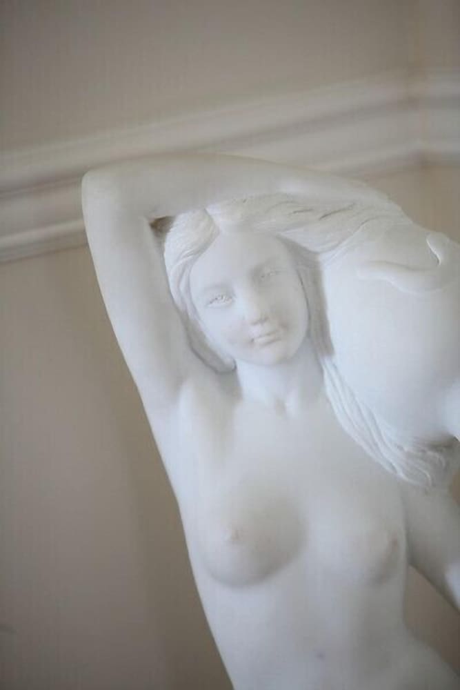The Almanett Hotel - photo 29