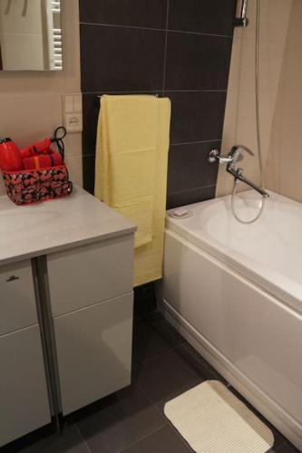Tsiklauri Luxurious Apartment in the City Centre