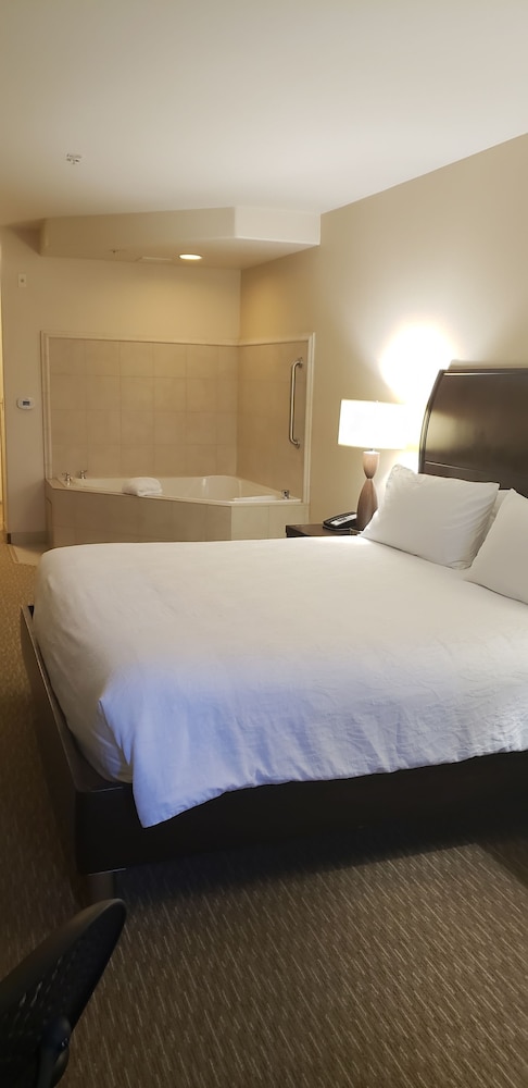 Hilton Garden Inn San Bernardino - photo 7