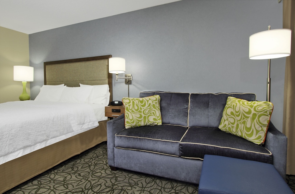 Hampton Inn Austin Airport Area South - photo 4