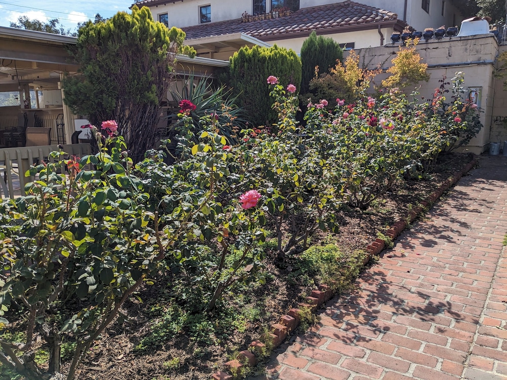Los Gatos Garden Inn Hotel - photo 46